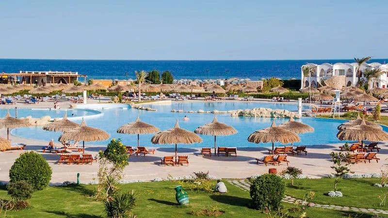 Egipt 🇪🇬: Luksusowe 7 Dni w Marsa Alam z Gorgonia Beach 🌴