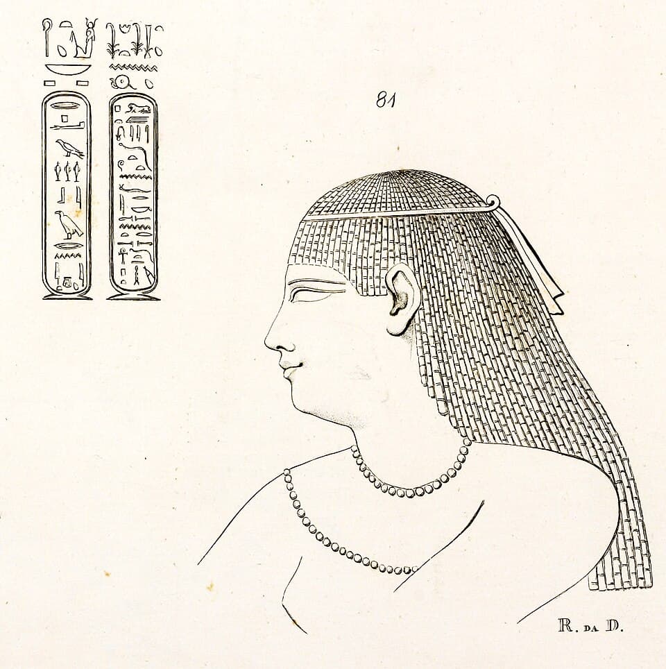 Berenice III
