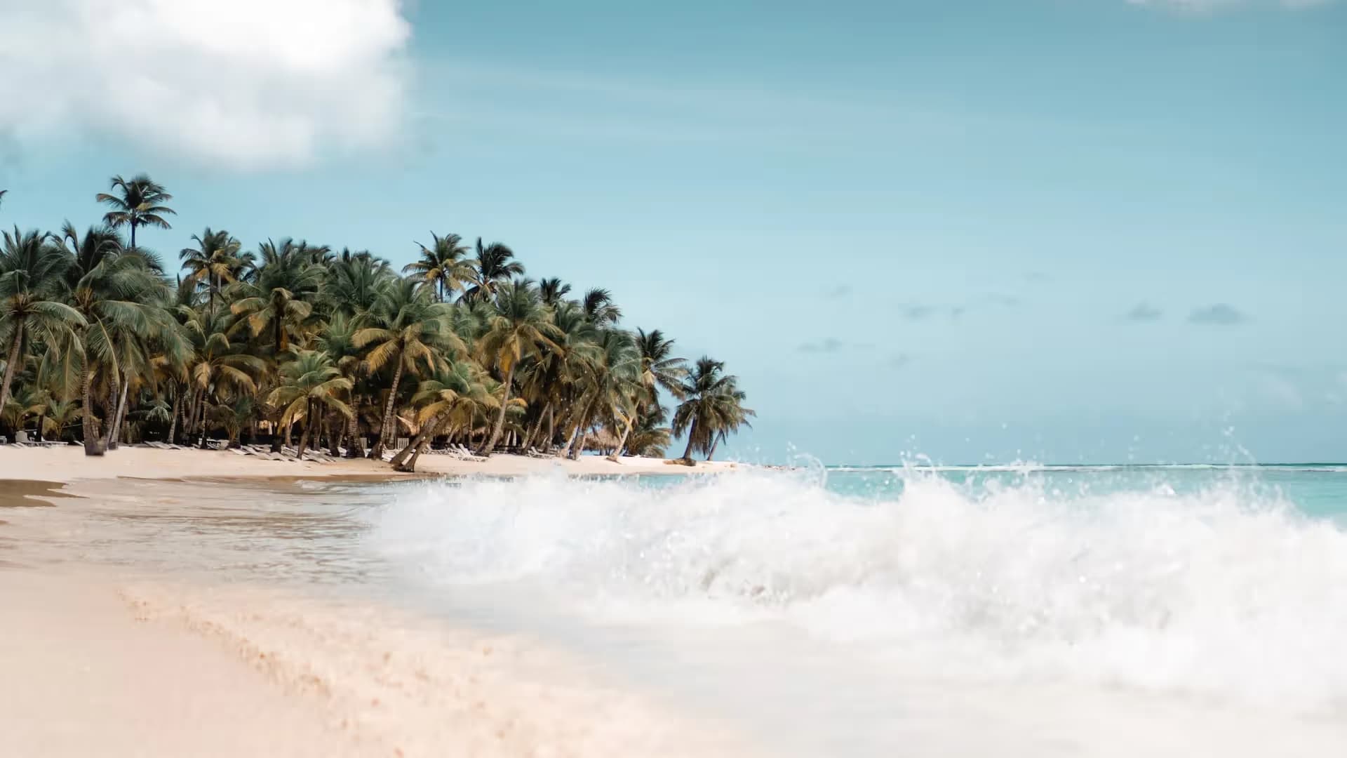 LAST: 🇩🇴 Tanie Loty w Dwie Strony na Dominikanę ✈️