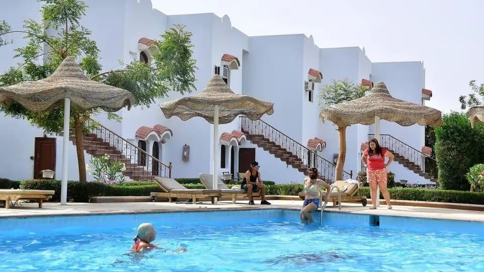 All In w Sharm El Sheikh Poniżej 1000 PLN! 🇪🇬