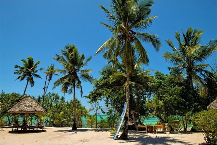 Tikitam Palms Boutique