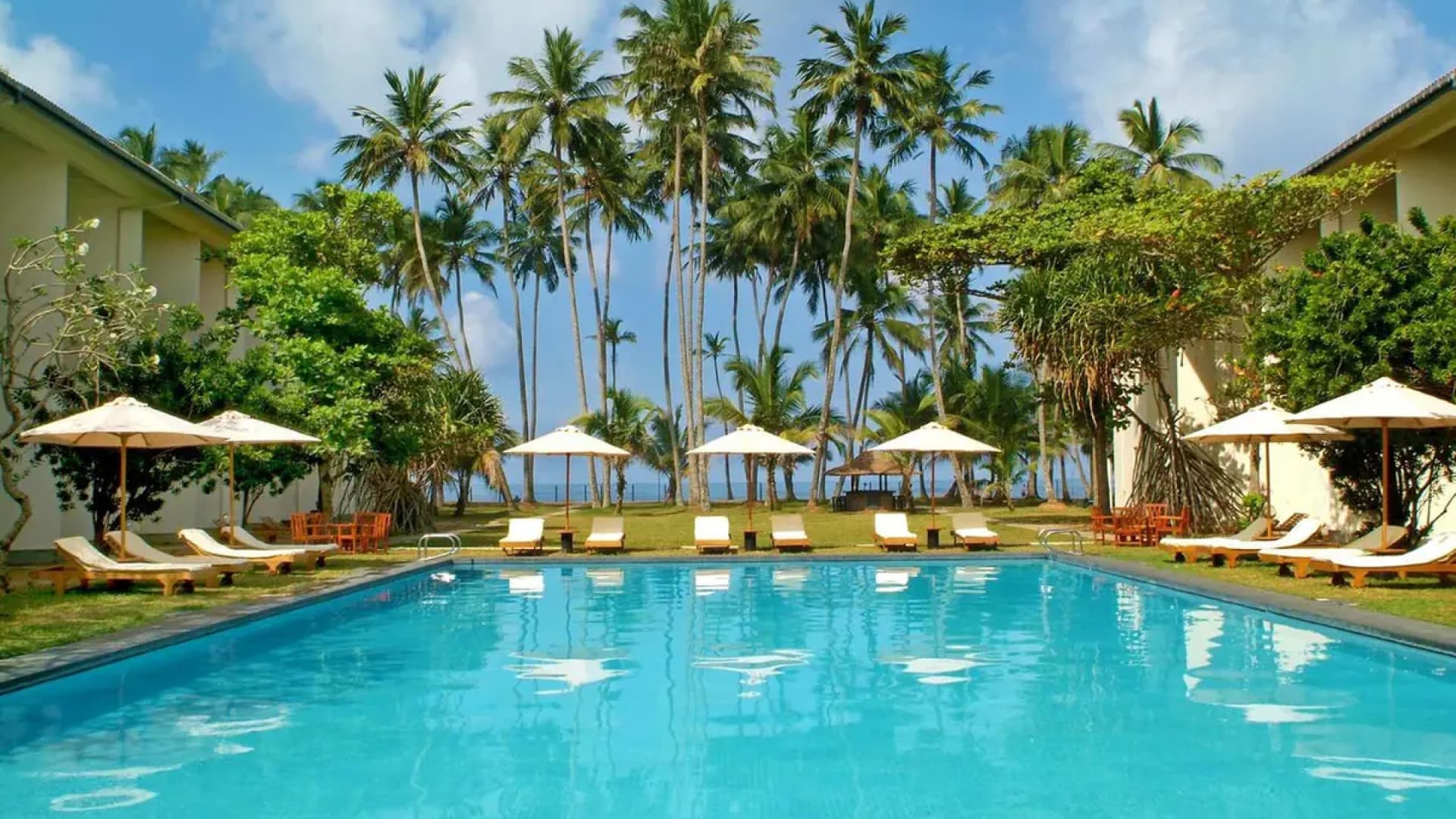 Egzotyczna Sri Lanka 🇱🇰 Last Minute z Lotami i AI!