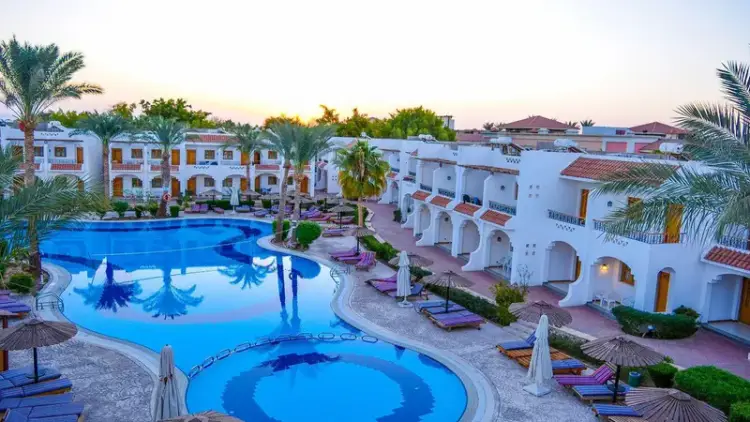 Egipt w Grudniu: 7 Dni w Dive Inn Resort 🇪🇬🤿