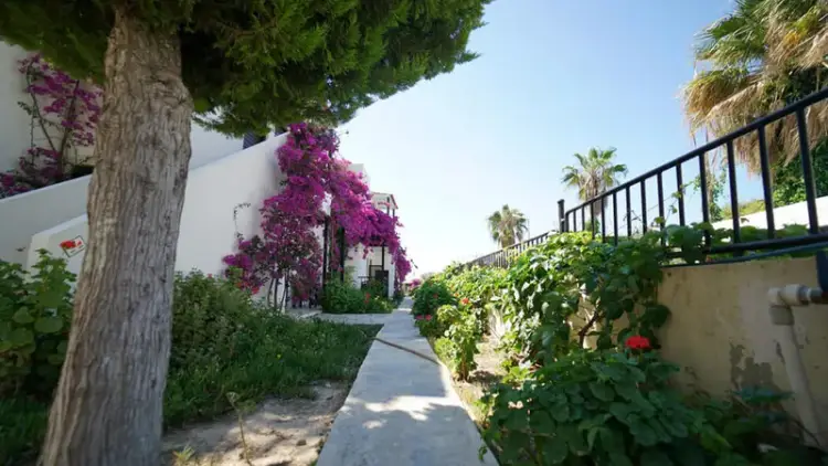 Wybrzeże Egejskie: 7 Dni w Gumbet w Hotelu Salinas Beach 🇹🇷🏖️