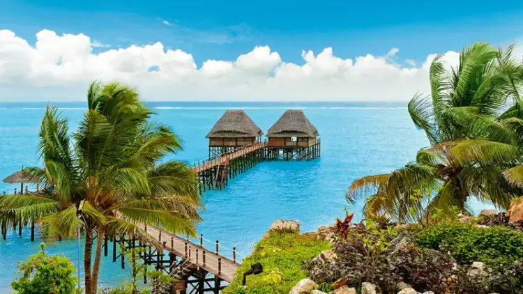 Zanzibar: 7 Dni w Luksusowym Melia Zanzibar 🇹🇿🏝️