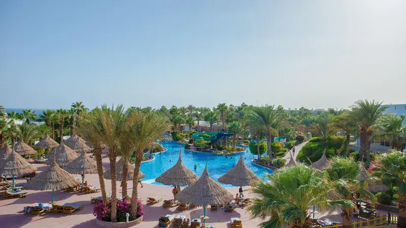 Egipt w 7 dni: Pickalbatros Golf Beach Resort w Sharm el Sheikh 🇪🇬