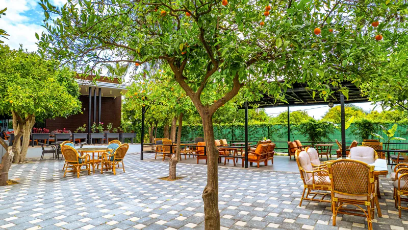 7 Dni Relaksu w Goynuk: Turcja w Hotelu The Nix 🇹🇷